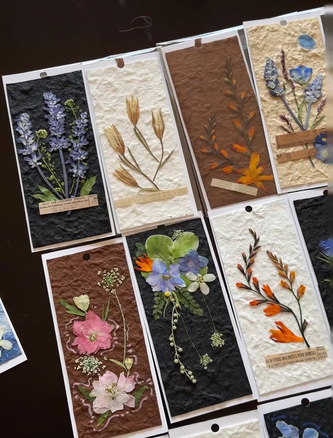 Pressed Lavender Flowers for Crafts – Dried Lavender for Resin & DIY