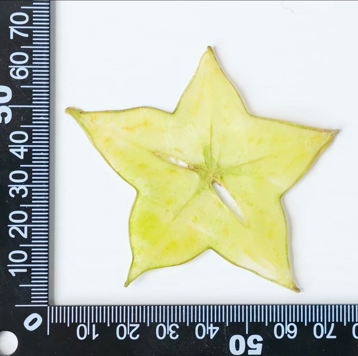 Decorative Dried Fruit Slices for Crafts – Lemon, Orange, Strawberry & More (Not Edible)