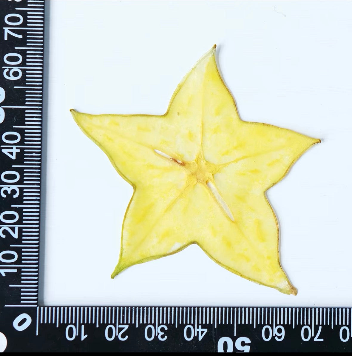 Decorative Dried Fruit Slices for Crafts – Lemon, Orange, Strawberry & More (Not Edible)