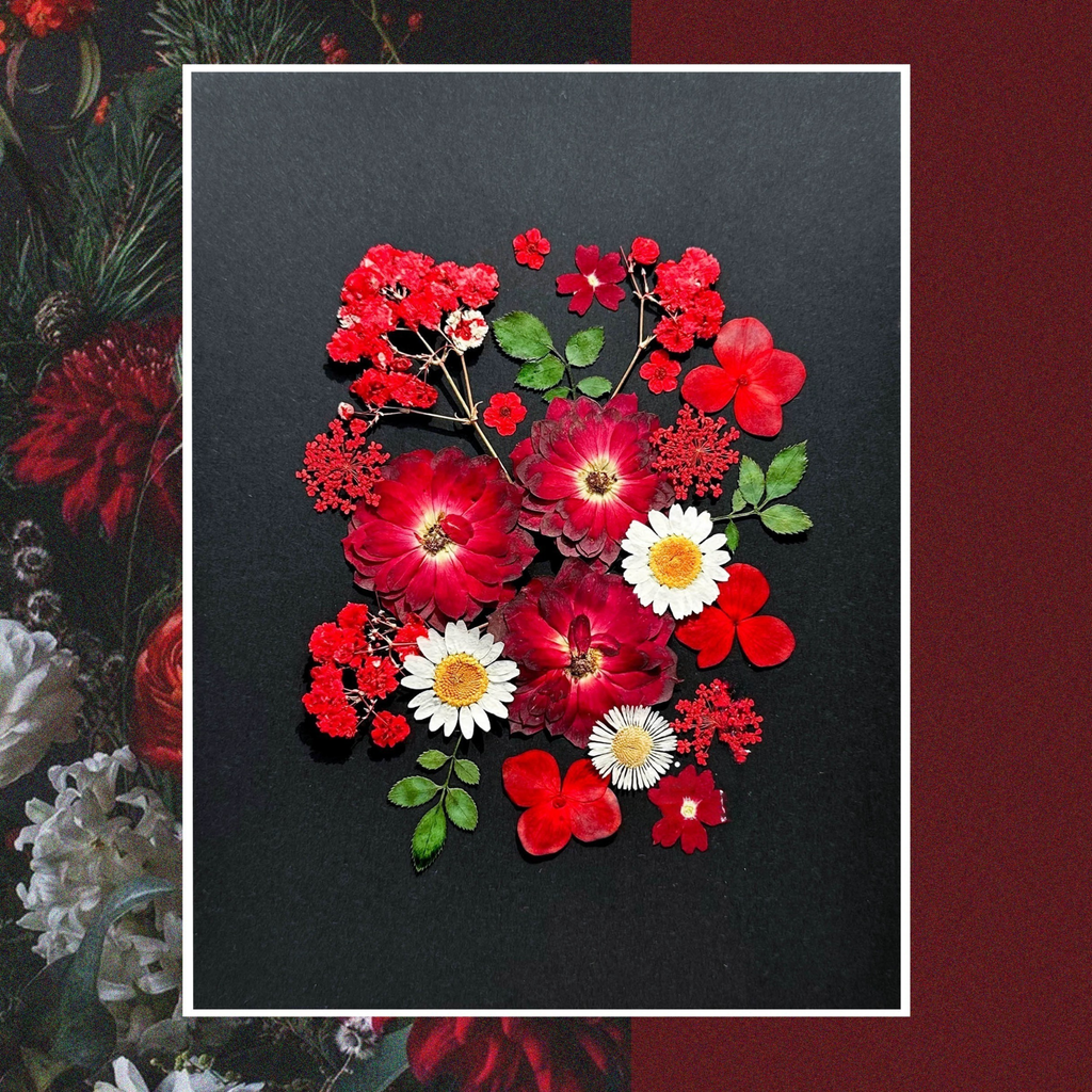 DIY Pressed Flower Set — Paint with Nature