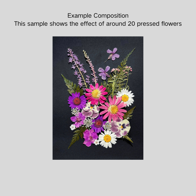 Vintage Tone A4 Heavy Cardstock Set – for Pressed Flower & Framing Art