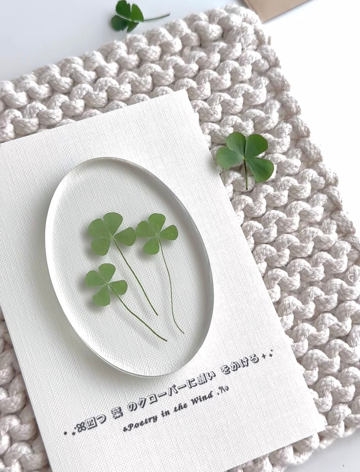 Lucky Four Leaf Clover – Real Pressed Plant for Resin Art, DIY Gifts & Journaling