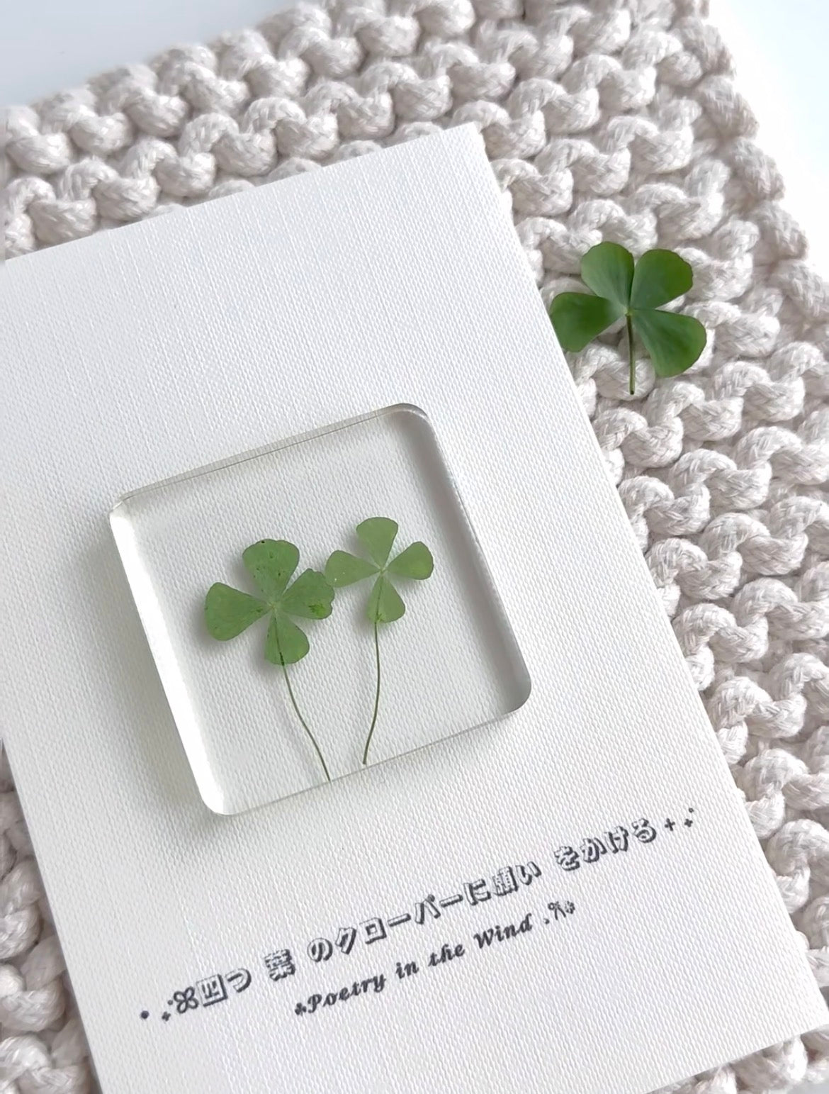 Lucky Four Leaf Clover – Real Pressed Plant for Resin Art, DIY Gifts & Journaling