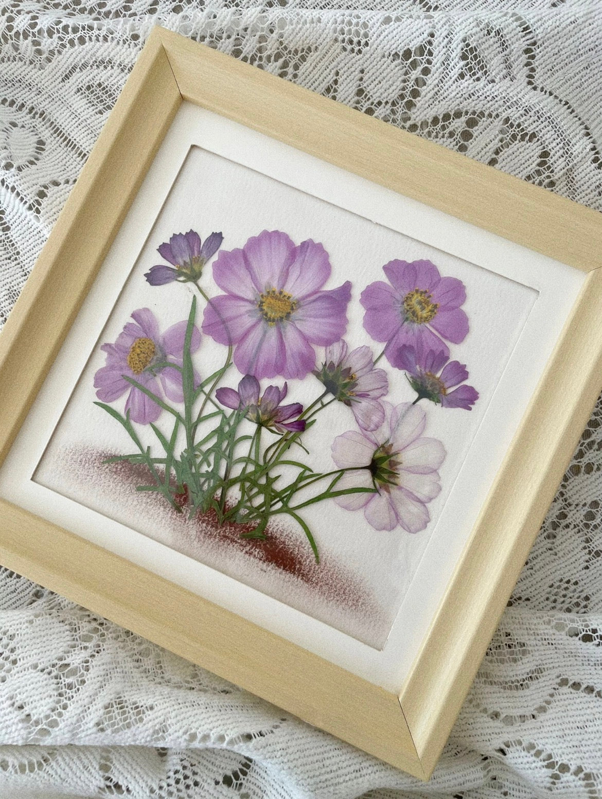 Pressed Cosmos Flowers for Resin & Crafts, Pink Gradient Dried Flowers, DIY Phone Case, Journaling & Art Supplies