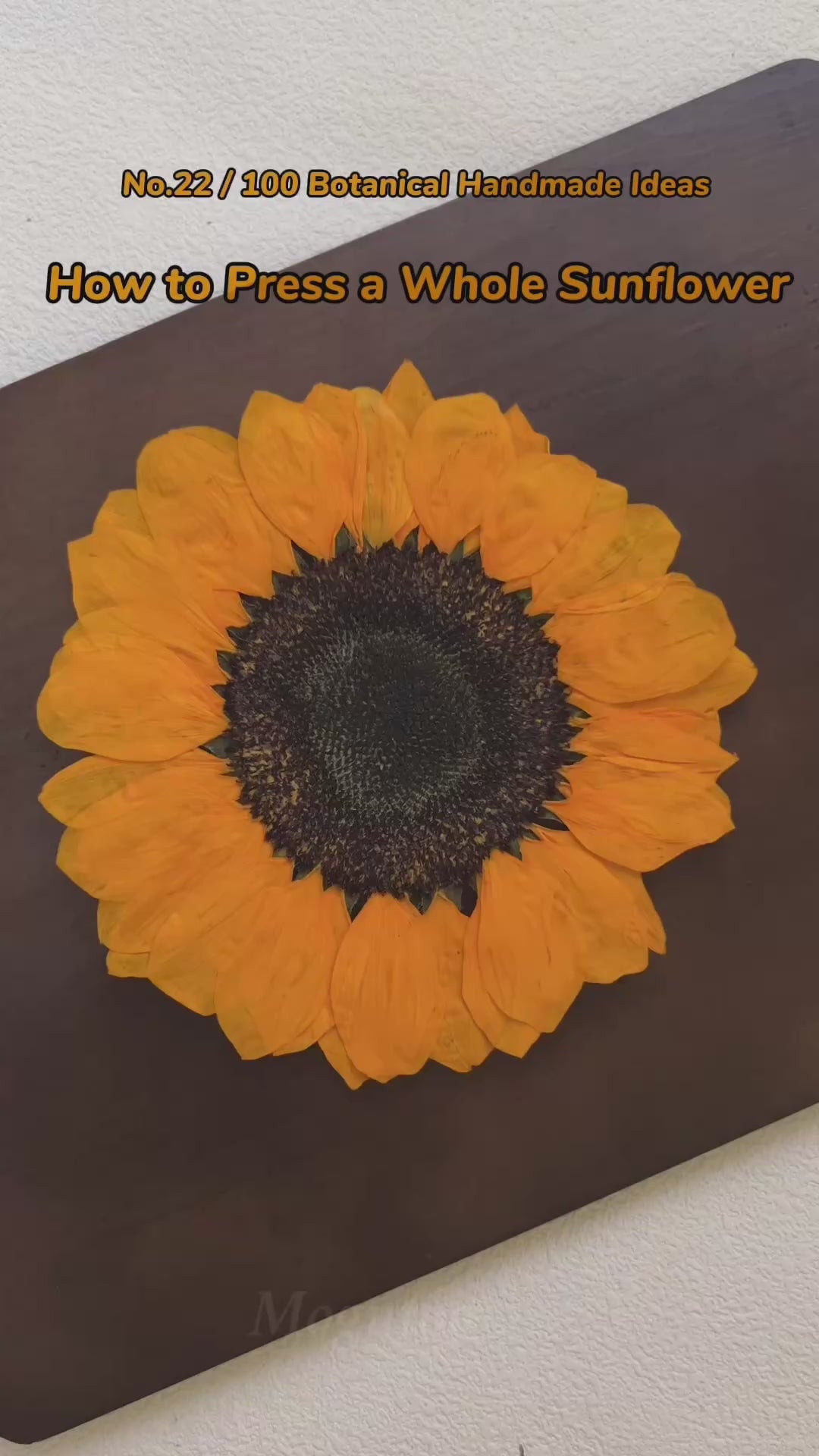 Real Wooden Flower Press Kit – Upgraded Absorbent Press for Flowers & Leaves, DIY Botanical Craft Kit for Journaling & Resin Art