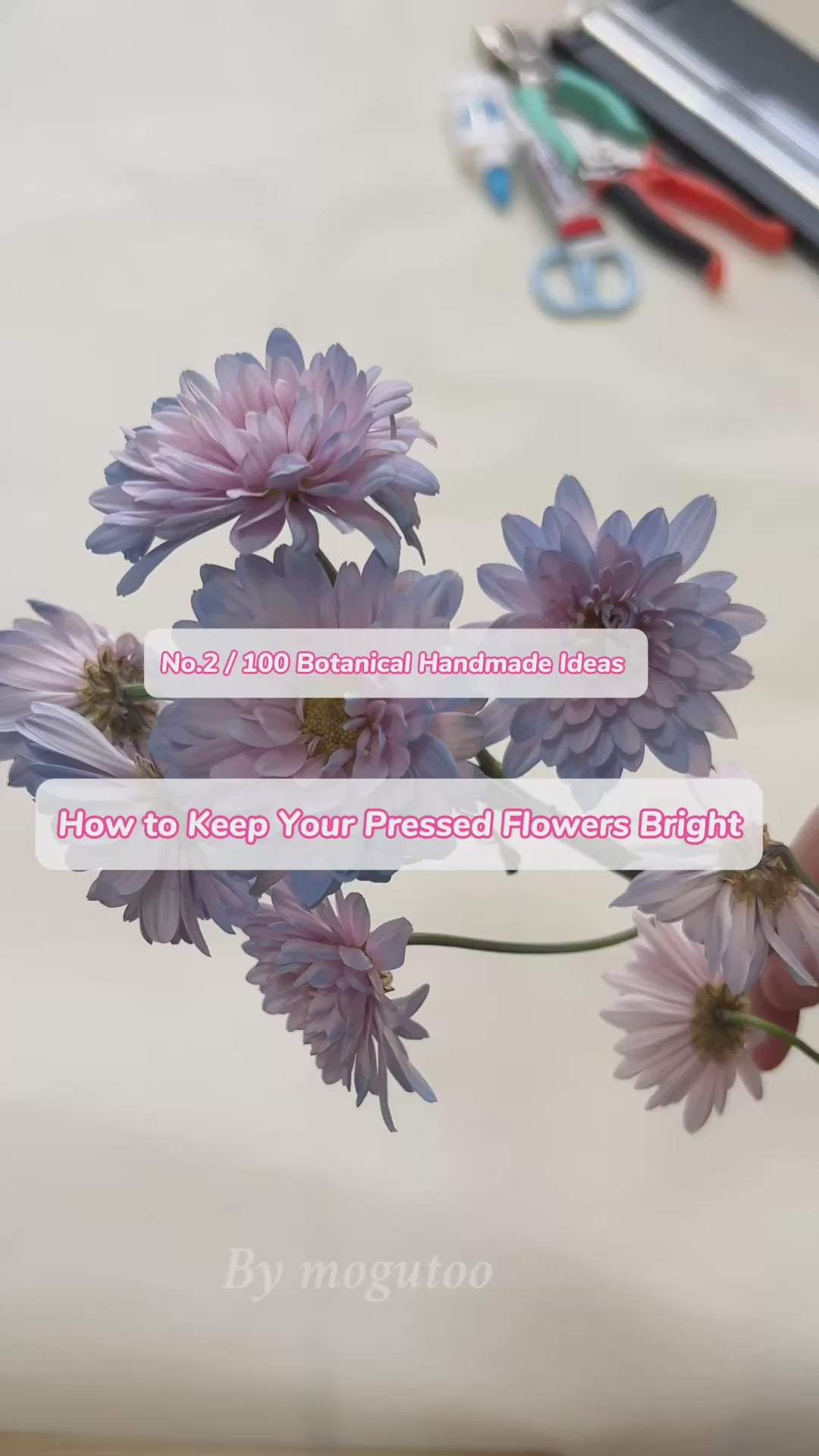 Pressed Flower Drying Absorbent Board Set