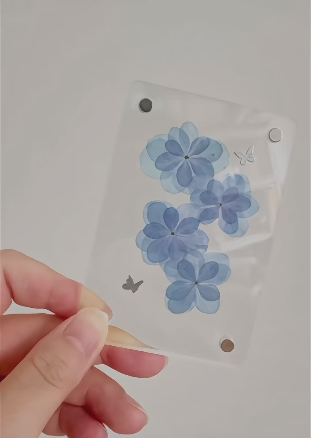 DIY Botanical Magnet Kit — Pressed Flower Craft Set